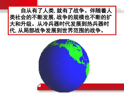 高中历史必修三第一次世界大战的爆发 (3)