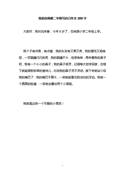 我的自画像二年级写自己作文200字
