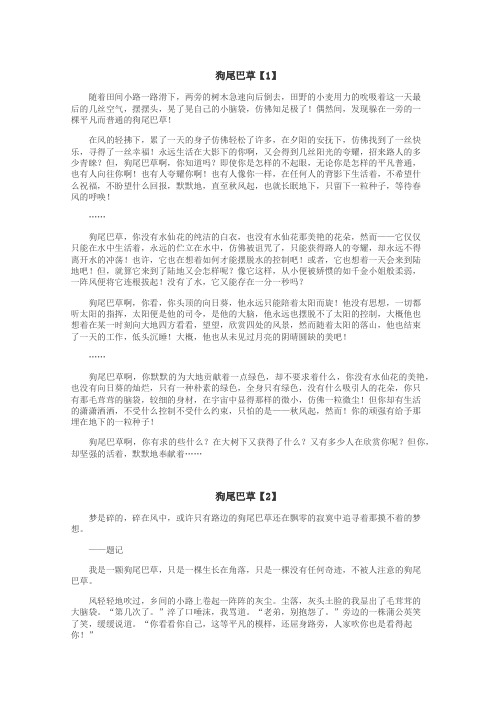 狗尾巴草作文
