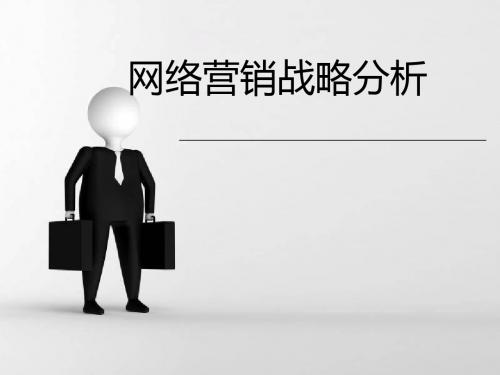 网络营销战略分析