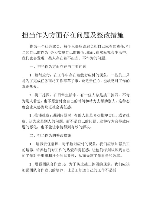 担当作为方面存在问题及整改措施