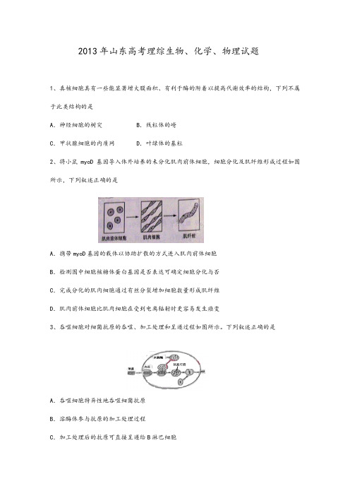 2013年山东高考理综生物、化学、物理试题