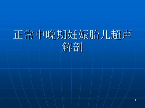 正常中晚期妊娠胎儿超声解剖PPT幻灯片