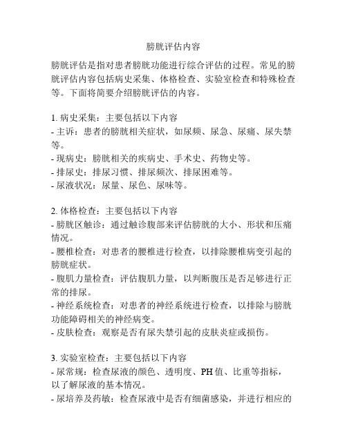 膀胱评估内容
