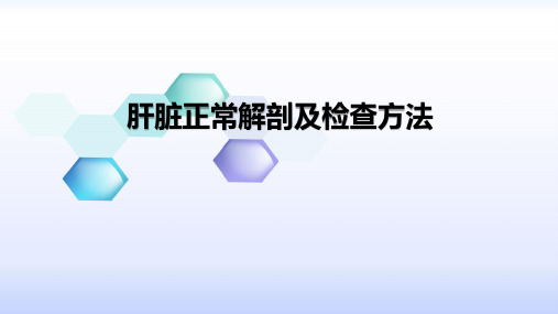 肝脏正常解剖及检查方法