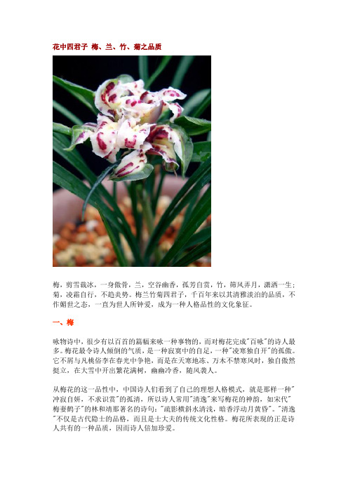 花中四君子 梅