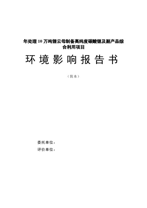 年处理10万吨锂云母制备高纯度碳酸锂及副产品综合利用项目环境影响报告书简本