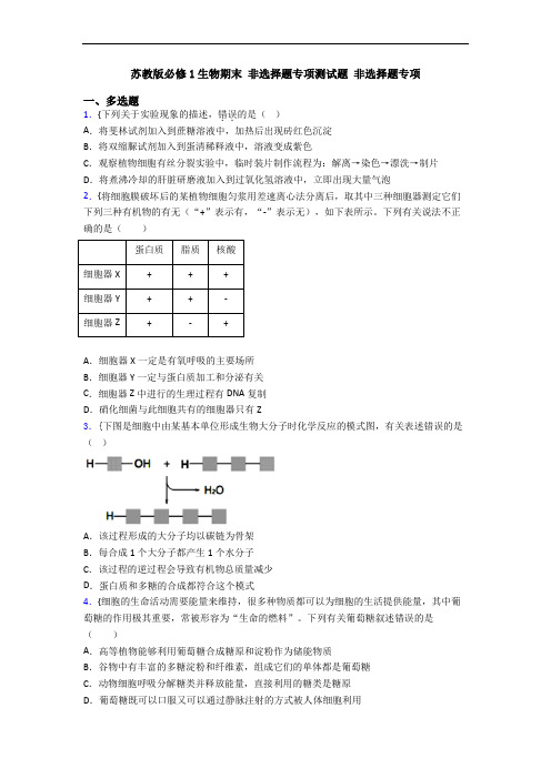 苏教版必修1生物期末 非选择题专项测试题 非选择题专项