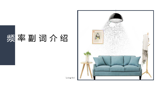 频率副词介绍