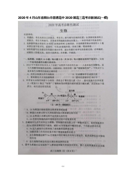 2020年4月山东省烟台市普通高中2020届高三高考诊断性测试(一模)生物试题及答案