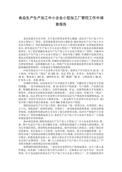 食品生产生产加工中小企业小型加工厂管控工作中调查报告