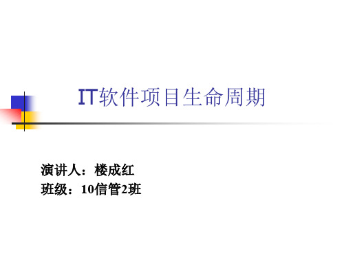IT软件项目生命周期