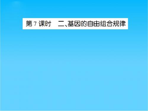 高三生物一轮复习 5-2-7 基因的自由组合规律同步辅导课件 大纲版