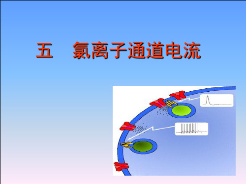 氯通道电流