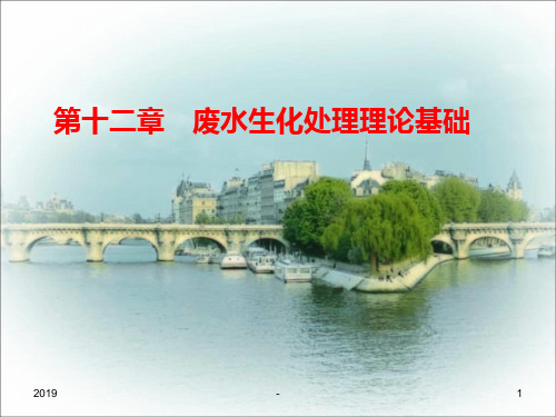 第十二章废水生化处理理论基础模板ppt课件