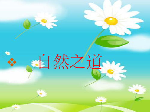 四年级语文下册第三单元《自然之道》整理ppt课件ppt课件