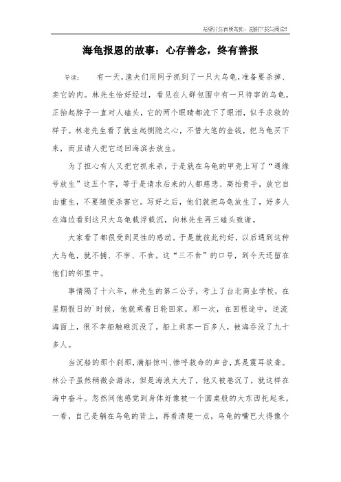 海龟报恩的故事：心存善念,终有善报