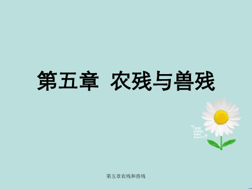 第五章农残和兽残
