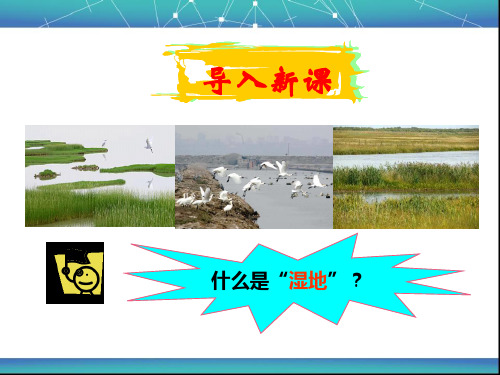 高二下学期地理人教版选修6湿地干涸及其恢复ppt课件