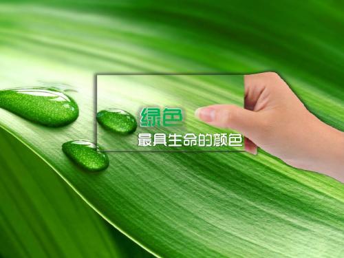 奇妙的二氧化碳课件第一课时(性质)