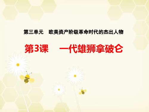 人教版高中历史选修4优质课件2：第3课 一代雄狮拿破仑(1)