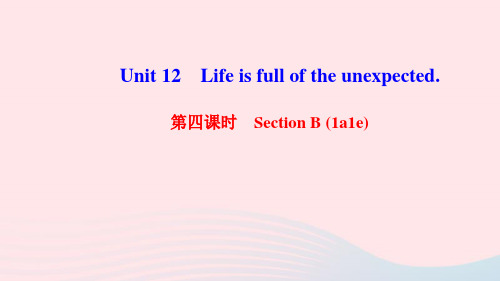 英语九年级全册Unit12第4课时SectionB1a-1e作业课件 人教新目标版