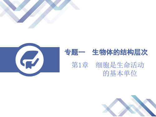 2019届中考生物总复习课件：第1章  细胞是生命活动的基本单位.pptx (共31张PPT)