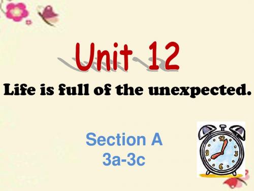 【学海风暴】2016九年级英语全册 Unit 12 Life is full of the unexpected Section A(3a-3c)课件