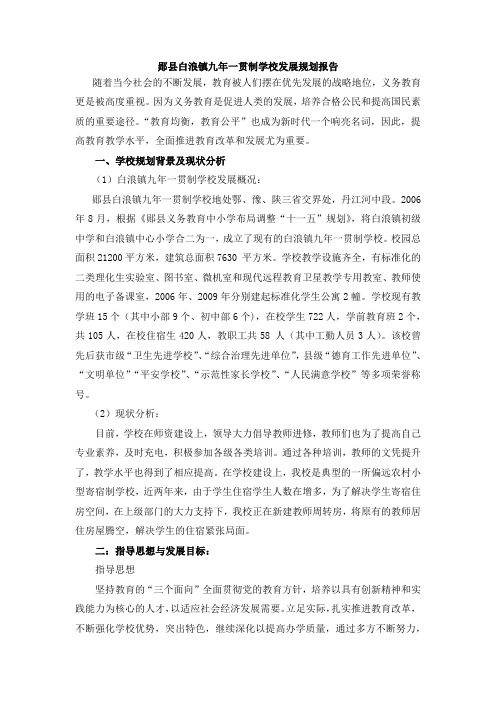 郧县白浪镇九年一贯制学校发展规划报告
