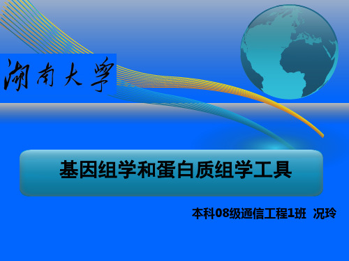 基因组学和蛋白质组学工具 ppt课件