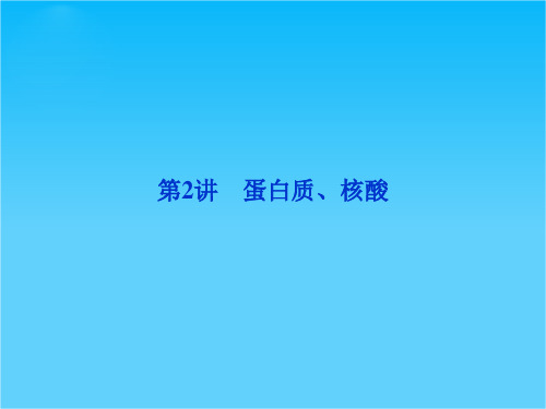 高考生物二轮专题突破总复习 第2讲 蛋白质、核酸课件 新人教版