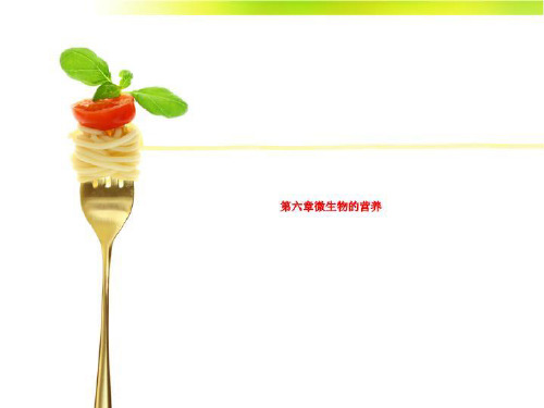 第六章微生物的营养