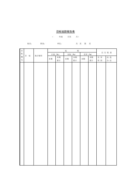 目标追踪情况记录报告表(doc 2页)