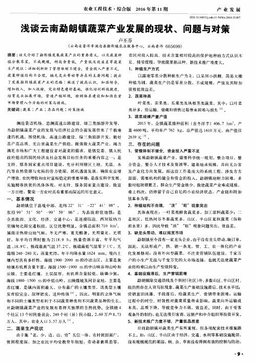 浅谈云南勐朗镇蔬菜产业发展的现状、问题与对策