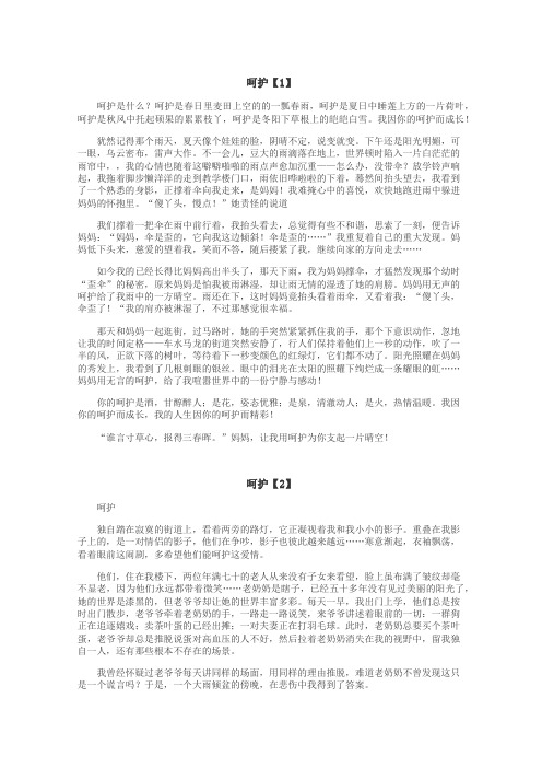 呵护作文
