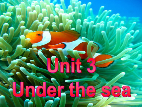 人教版英语选修七unit3词汇