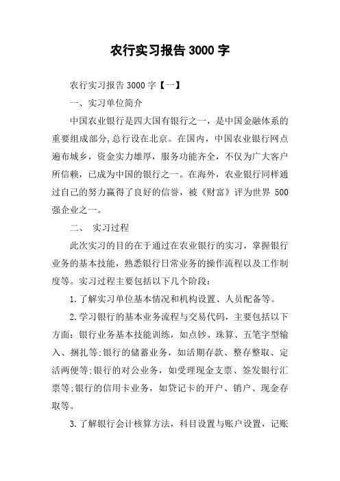农行实习报告3000字