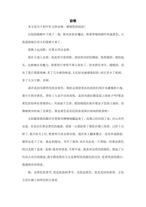 访秋_初中作文