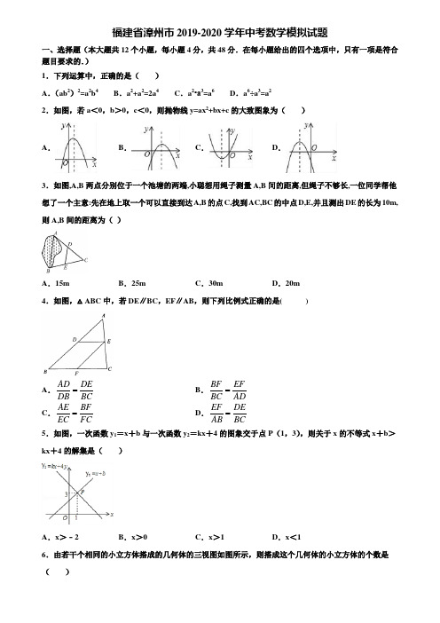 福建省漳州市2019-2020学年中考数学模拟试题含解析