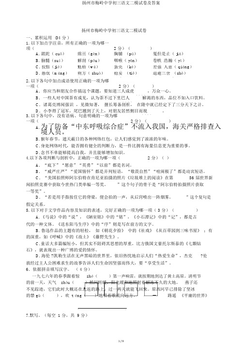 扬州市梅岭中学初三语文二模试卷及答案