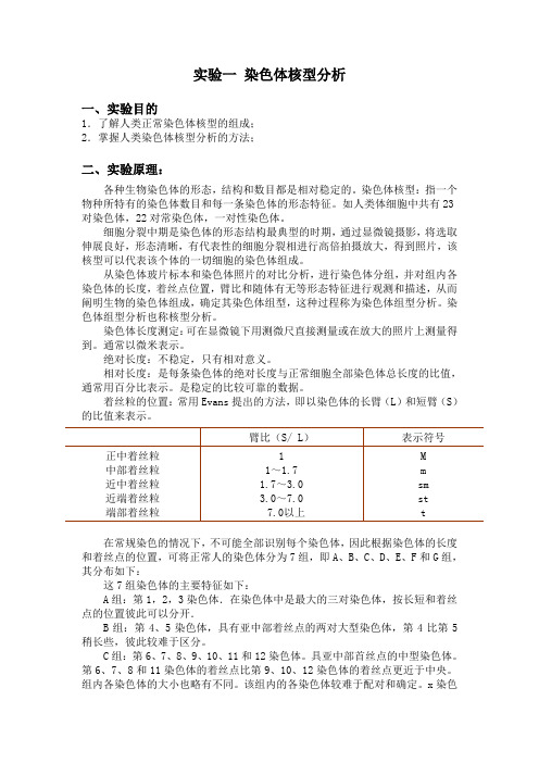 实验一 染色体核型分析