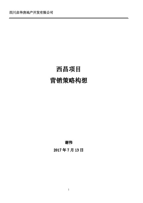 项目管理-启华·西昌项目营销构思(定稿)