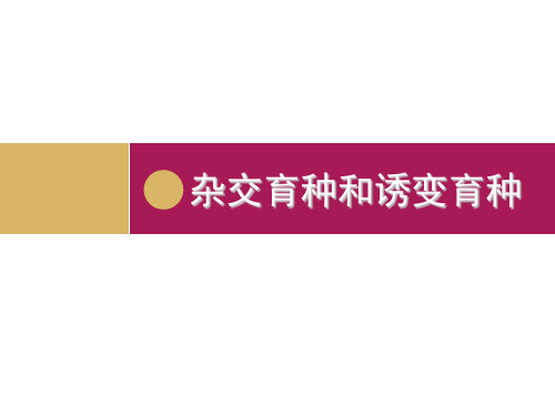 高中生物高中生物6.1设计一杂交育种与诱变育种