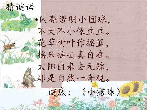 苏教版《小露珠》第二课时