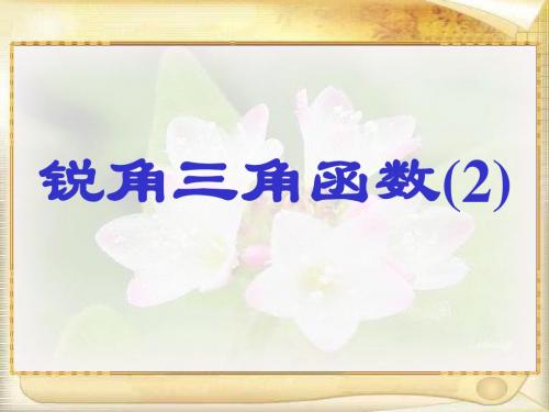 锐角三角函数--华师大版(教学课件2019)