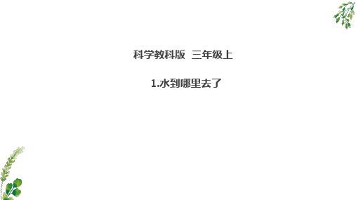 教科版三年级上册第一单元全部课件