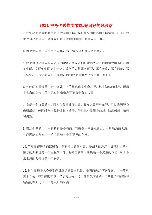 2021中考优秀作文节选-好词好句好段落