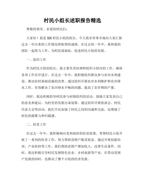 村民小组长述职报告精选