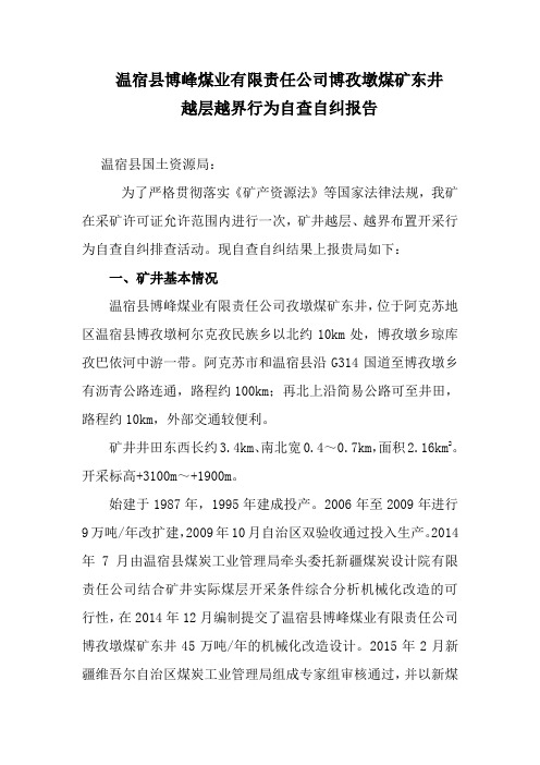 东井越层越界行为自查自纠报告