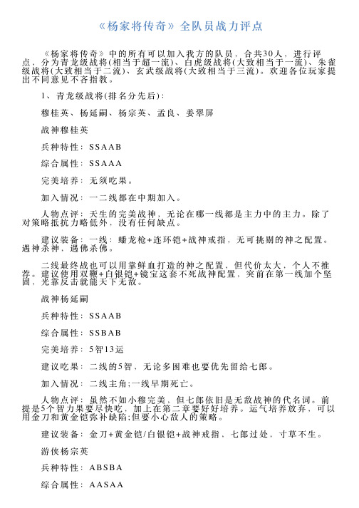 《杨家将传奇》全队员战力评点